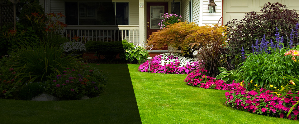 Hebbronville Landscapers