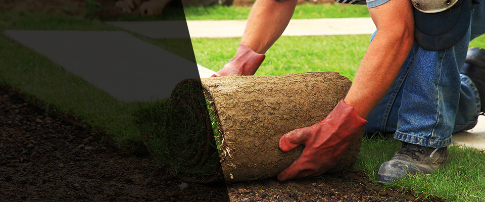 Hebbronville Landscapers